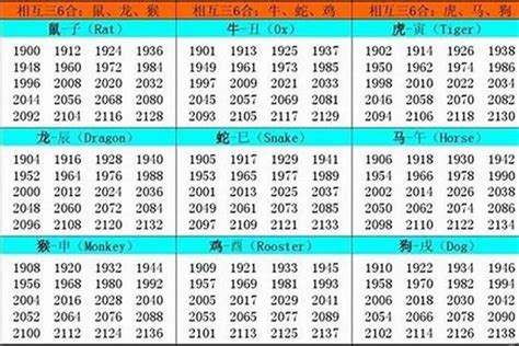 2002 年生肖|2002年1月出生属什么生肖